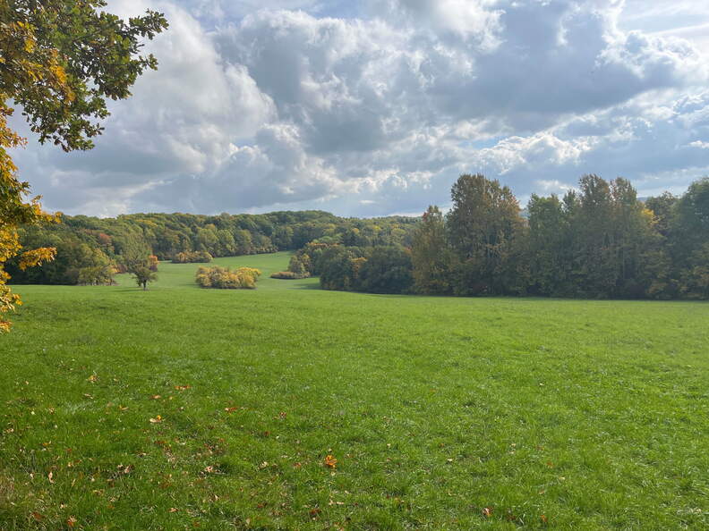 22-10-08 12-07-02 2512